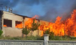 Kastamonu’da fabrika yangını