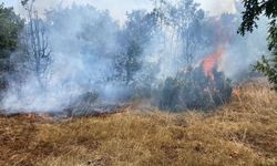 Kütahya'daki orman yangını kısmen kontrol altına alındı