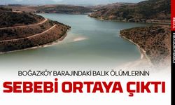 Boğazköy barajında balık ölümlerinin sebebi ortaya çıktı