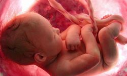 Sperm, Yumurta ve Embriyo Bağışı Caiz mi? Diyanet'ten Önemli Açıklama