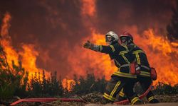 Bu yıl orman yangınlarının yüzde 80'i ihmal, dikkatsizlik ve kaza sonucu çıktı