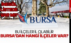 İl olma potansiyeli olan yerler açıklandı! Listede Bursa’dan 2 yer var