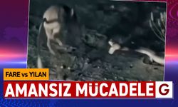 Nefes kesen mücadele