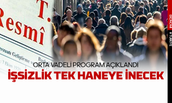 İşsizlik tek hane olacakmış Ekonomi'nin orta vadeli programı açıklandı