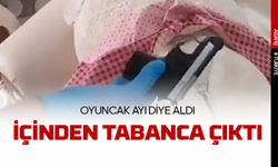 Oyuncak ayı diye aldı içinden silah çıktı