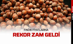 Fındığa büyük zam geldi