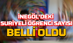 İnegöl’deki Suriyeli öğrenci sayısı belli oldu!