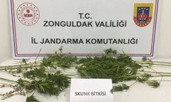 Zonguldak’ta uyuşturucu operasyonu