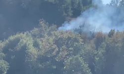 Ereğli'de Ormanlık Alanda Çıkan Yangın Hızla Kontrol Altına Alındı