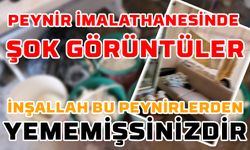 Peynir İmalathanesinden Şok Görüntüler: İnşallah Bu Peynirlerden Yememişsinizdir