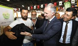 Küçükbaşta İnegöl Farkı: Festival Zamanı!