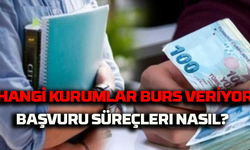 Türkiye'de Burs Olanakları: Hangi Kurumlar Burs Veriyor, Başvuru Süreçleri Nasıl?