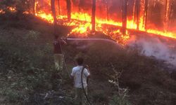 Denizli'de Orman Yangını: Acil Müdahale Devam Ediyor