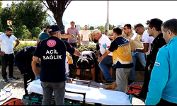 İnegöl'de abi kardeş ölümden döndü