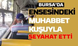 Ensesindeki muhabbet kuşuyla seyahat etti