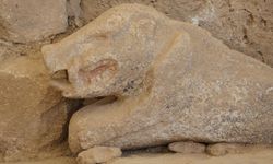 Göbeklitepe'de bulunan yaban domuzu heykeli