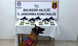 Bomba köpeği ’Vaha’ kaçak silahları buldu