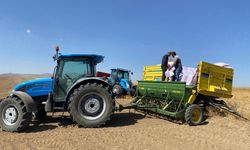 Konya Kulu'da Yeni Sezon Hububat Ekimi Başladı: Çiftçilere Bereketli Bir Yıl Diliyoruz!