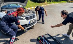 Antalya'da Bir Notla Kurtarılan Kedi: Otomobilin Gizemli Misafiri