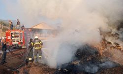 Burdur'un Çatağıl Köyünde Yangın: 2 Bin Saman Balyası Kül Oldu