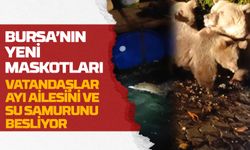 Bursa'nın Yeni Maskotları: Vatandaşlar, Ayı Ailesini ve Su Samurunu Besliyor