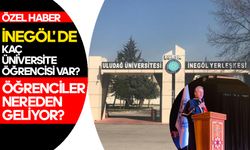 İnegöl'de Kaç Üniversite Öğrencisi Var? Öğrenciler Nereden Geliyor?