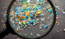 Avrupa'da Mikroplastik Devrimi: AB, İnsan Sağlığını Tehdit Eden Mikroplastik İçerikli Ürünleri Yasakladı!
