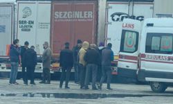 TIR Şoförü İnegöl'de Ölü Bulundu