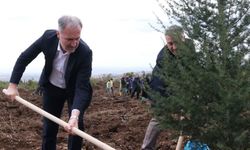 İnegöl’de ‘’Cumhhuriyete Nefes’’  Fidanları Dikildi