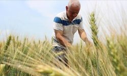 Emekli Çiftçilere Özel İkramiye: Cumhuriyet'in 100. Yılında 5 Bin TL Destek