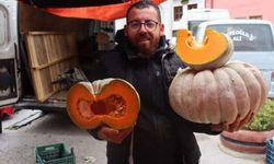 Tarladan Tezgaha Bir Sağlık Deposu: Eskişehir'in Kış Kabağı Pazarı!