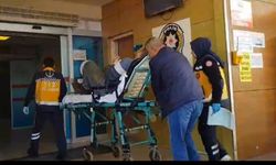İnegöl'de Arı Sokması Sonucu İşçi Hastaneye Kaldırıldı