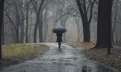 Yağmurda Koşmak mı, Yürümek mi Daha Çok Islatıyor? 