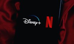 Disney’e ait 14 dizi Netflix’e geçiyor!