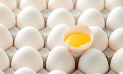 Yumurta Yemek Zararlı mı? Nasıl Zarar Verdiğini Öğrenen Bir Daha Yemeyecek