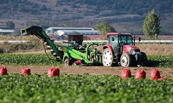 Türk-Sudan Uluslararası Tarım ve Hayvancılık Şirketi Tasfiye Ediliyor