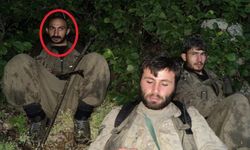MİT, terör örgütü PKK/YPG'nin sözde sorumlularından Şirvan Hasan'ı, etkisiz hale getirdi