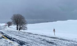 Ardahan ve Kars'ta kar etkili oluyor