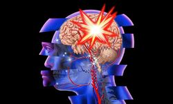 İnternet: İnternet Beynimizi Nasıl Etkiliyor? İnternetin Beyne Zararları!