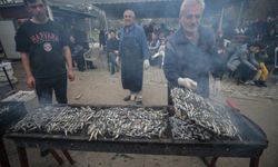 Bursa'da Hamsi Şöleni: Bir Ton Balık, Binlerce Gülümseme