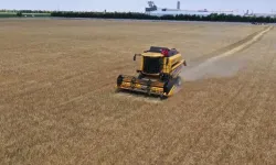 Çiftçilere Büyük Fırsat: Buğday ve Ayçiçeği Destek Ödemelerinde Son Çağrı!