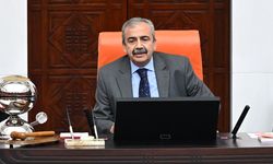 Sırrı Süreyya Önder Meclis’te rahatsızlandı