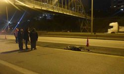 Adana’da otoyolda tırın çarptığı kadın öldü