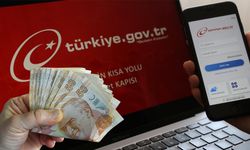 Emekliliğiniz İptal Olabilir: E-Devlet'teki Bu Kodlara Dikkat!