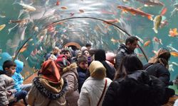 Bursa'da Öğrencilere Karne Hediyesi: Cazibe Merkezi Tünel Akvaryumu!