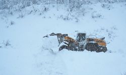 O İlde Kar 75 Köy Yolunu Kapattı