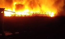 Eber Gölü’nde sazlık alanda yangın çıktı, alevler metrelerce yükseldi