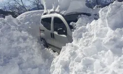 Artvin Şavşat'ta Tarihi Kar Yağışı: Son 20 Yılın Rekoru Kırıldı