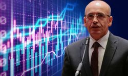 Bakan Şimşek'ten yatırımcılara uyarı