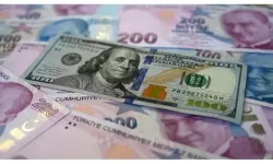 Dolar Tarihi Zirvede: TCMB Faiz Kararı Bekleniyor
